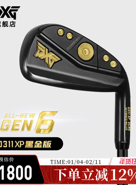 PXG高尔夫球杆男士铁杆组新款GEN6 0311XP高容错黑金系列全组铁杆