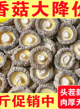 农家香菇干货500g肉厚无根干香菇菌菇新货毛重非净重农家特产250g
