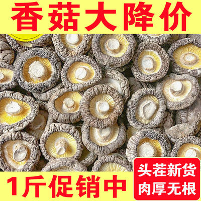 农家香菇干货500g肉厚无根干香菇菌菇新货毛重非净重农家特产250g