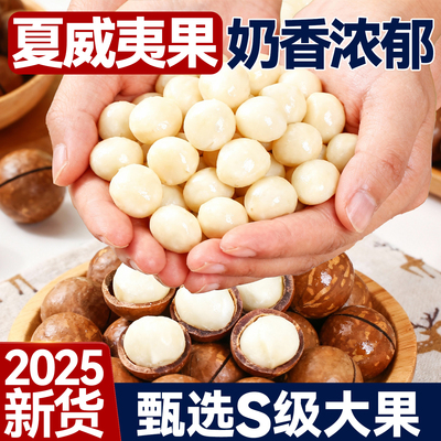 南非特大颗粒奶油味夏威夷果坚果