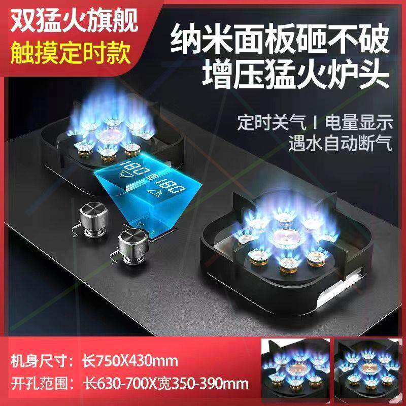 德国品牌燃气灶双灶家用煤气灶天然气灶台嵌两用可定时节能猛火灶