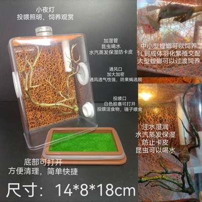 爬虫宠物用品饲养盒树栖蜘蛛佛跳蛛兰花螳螂盒鸣虫蛉虫盒蝈蝈素背