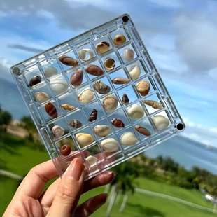 贝壳收纳盒亚克力正方形透明海边微石头标本展示收藏磁力收纳相框