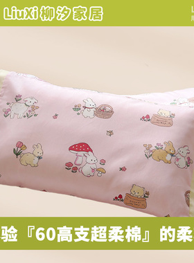 柳汐60支儿童专用枕套全棉30x50幼儿园40x60cm纯棉35x55枕头套a类