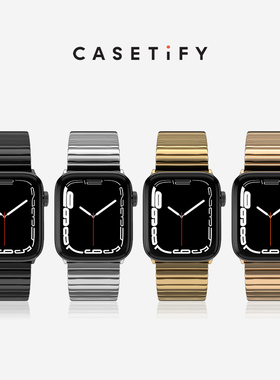 CASETiFY 不锈钢单链表带 适用于Apple watch表带