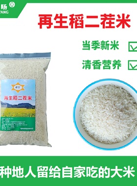 江西籼米长米粒大米2025新米5KG5斤农家现碾再生稻二茬香米晚稻张