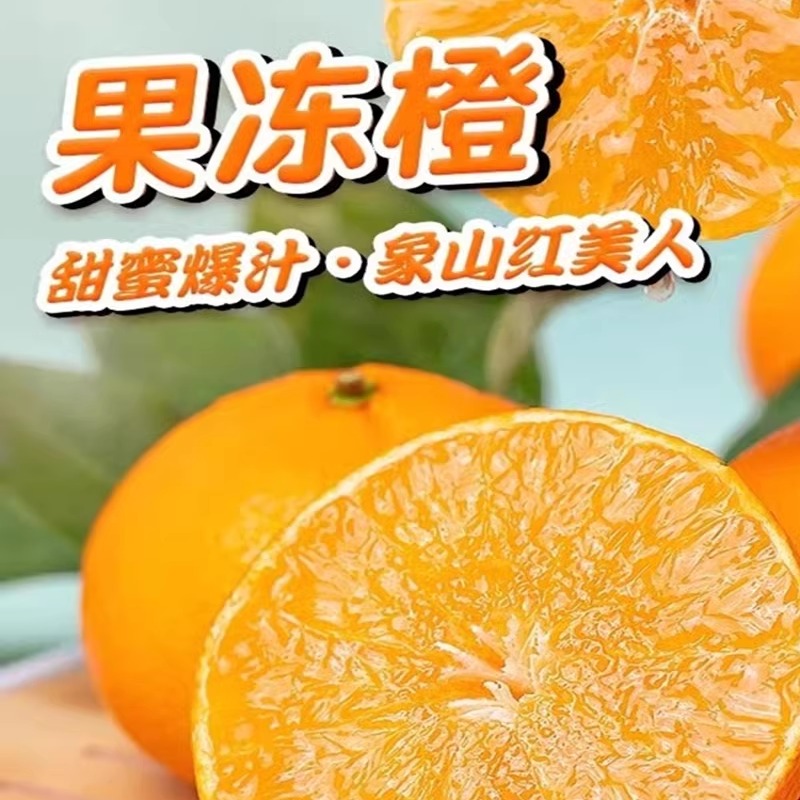 象山红美人28号爱媛果冻橙桔子孕妇当季新鲜水果果园现摘顺丰直发