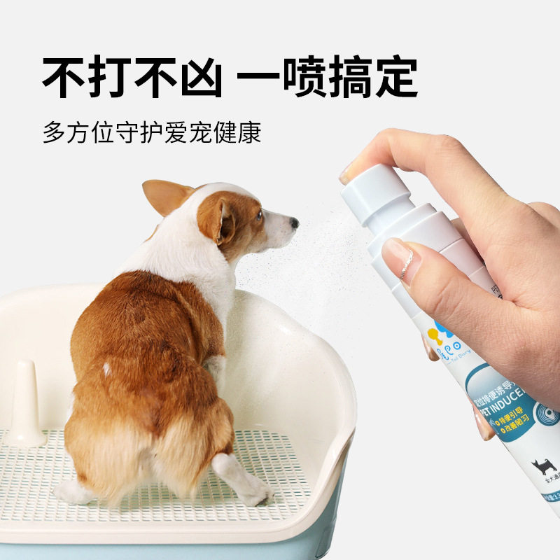宠物定位诱导剂狗狗厕所马桶训练器排便诱导剂定点排便喷雾
