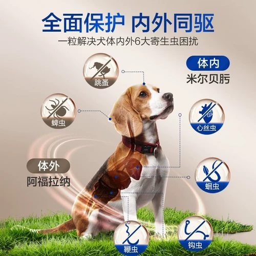 Super Ixgard Pet Dog S Dewerming Medicine внутри и снаружи такого же вождения XL Tick Flea M Large и Dog со средним размером