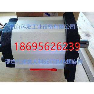 拍前咨询ZNYB01020502稀油站增压螺旋泵SETTIMA品牌定金