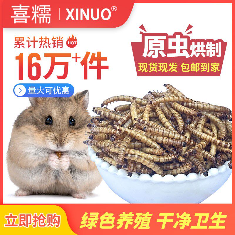 面包虫干大麦虫干烘烤宠物零食不上火大批量代发贸易全国广东包邮,宠物/宠物食品及用品,鼠粮,淘宝优惠券,粉丝福利购,淘宝优惠卷