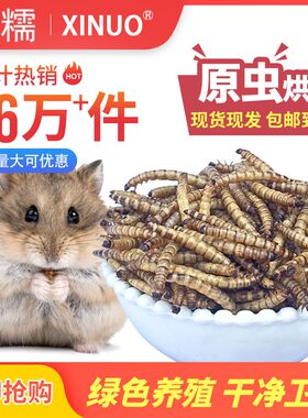 面包虫干大麦虫干烘烤宠物零食不上火大批量代发贸易全国广东包邮