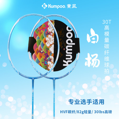 薰风正品羽毛球拍全碳素