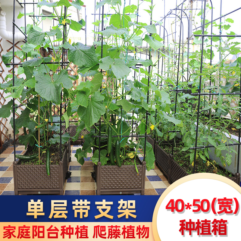 爆款种菜盆家用小花盆种植箱屋顶菜园蔬菜菜盆菜槽室内户外阳台架