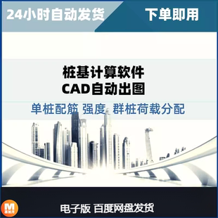 桩基计算软件（CAD自动出图) 单桩配筋 强度 群桩荷载分配R43