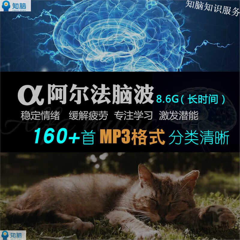 67类频率右脑α阿尔法脑波音乐MP3 减压缓解情绪改善睡眠 网盘发