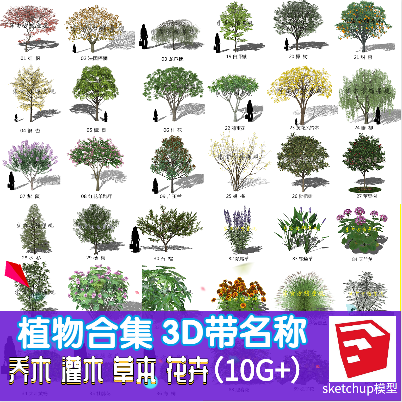 此商品为电子版资料，下单即发百度网盘