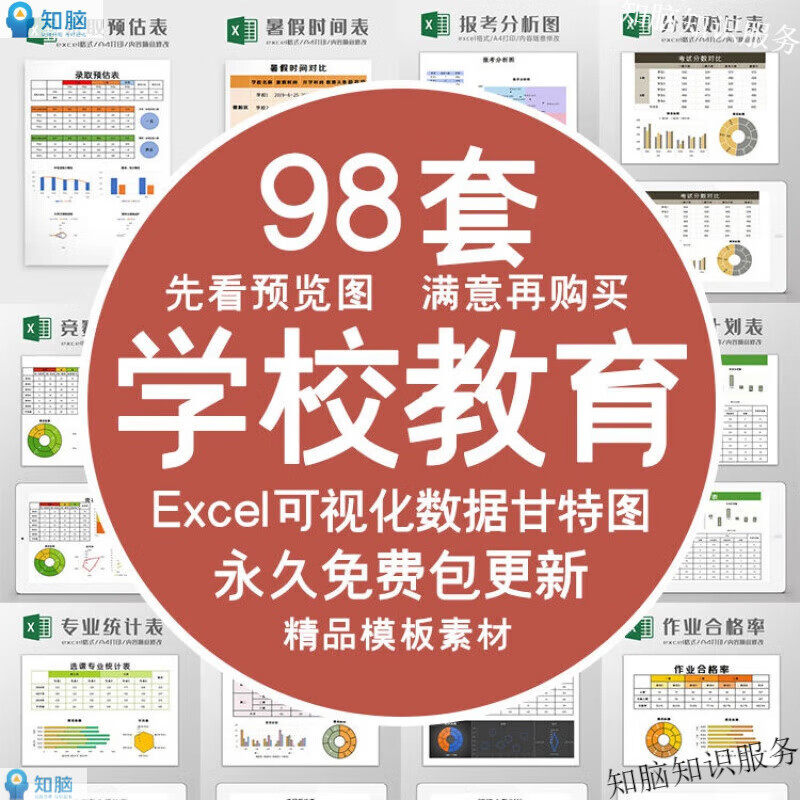 可视化Ecel表格学校教育课