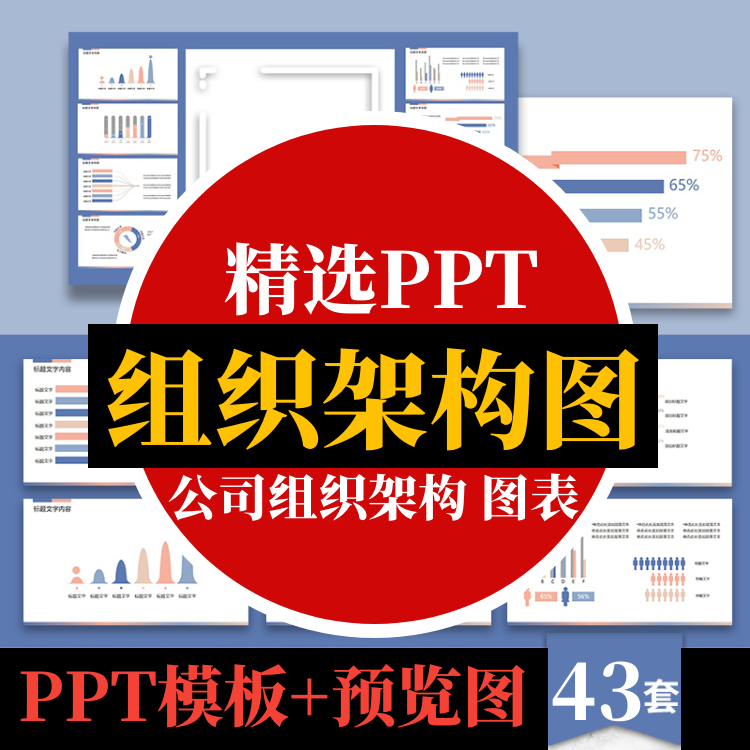 此商品为电子版资料，下单即发百度网盘