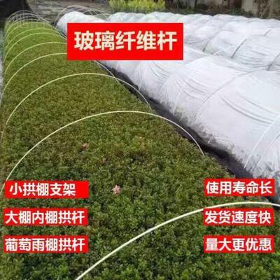 驰诺玻璃钢纤维棒菜棚保温棚育苗农用小拱棚支架拱杆骨架