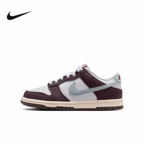 耐克男女大童运动鞋Nike Dunk 棕红色低帮复古滑板鞋IB5691-100