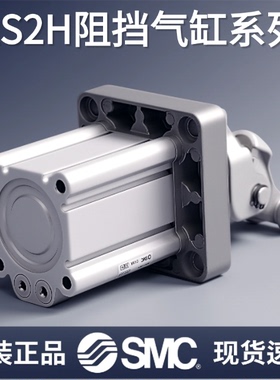 SMC/阻挡气缸系列/RSA RSH RS2H50A/63/80-30-40DL/M BL/M TM-X