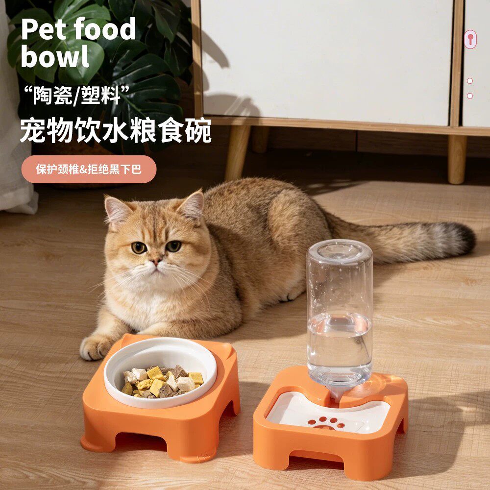 猫咪自动饮水机不插电宠物自动喂水器保护颈椎拒绝黑下巴猫碗双碗
