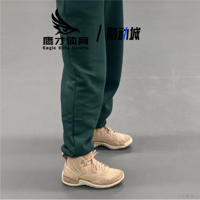 AJ12小麦色男女减震耐磨篮球鞋