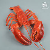 仿真波斯顿龙虾模型澳洲龙虾大虾高仿真海鲜水产假样直播道具