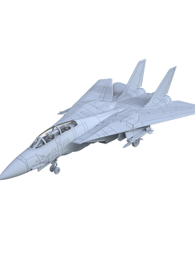 LYR87222C 1/87   美国空军 F-14 雄猫战斗机 机翼收拢状态