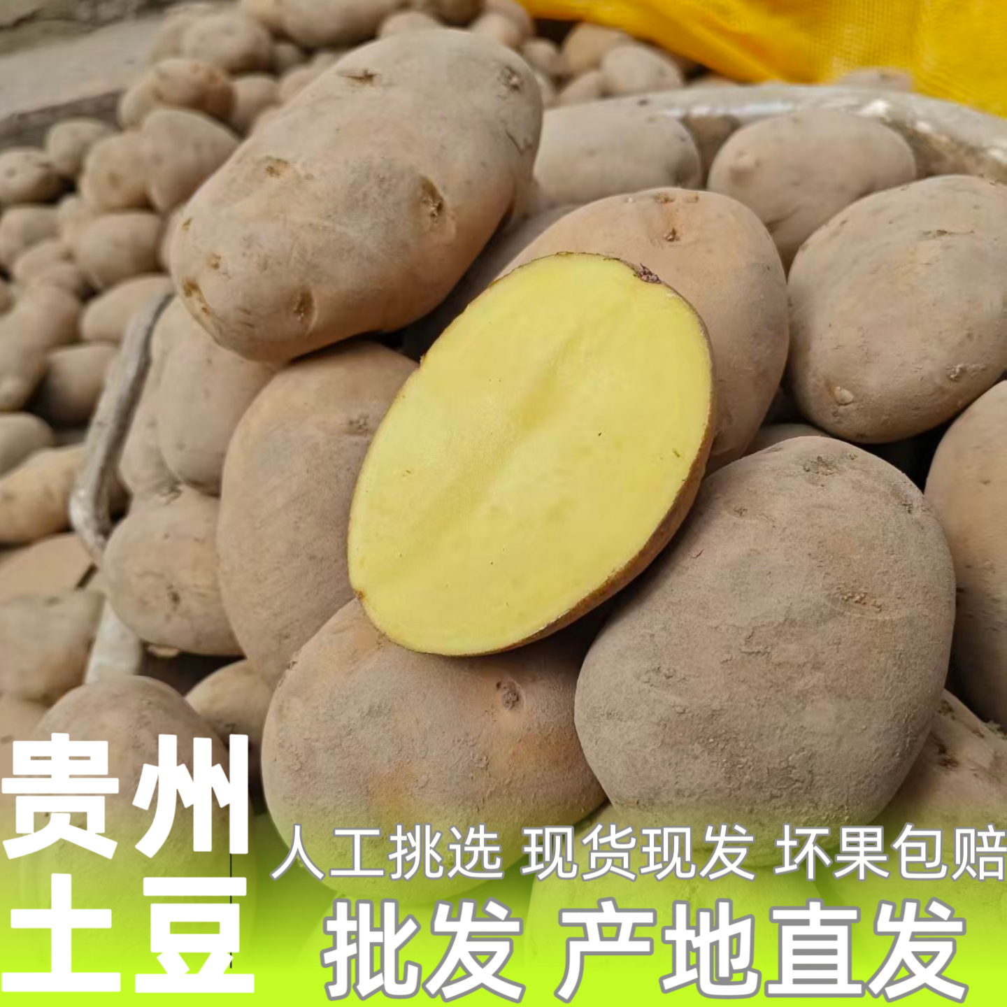 贵洲土豆50斤100斤商用毕节威宁米拉洋芋黄皮黄心粉糯大果2026年