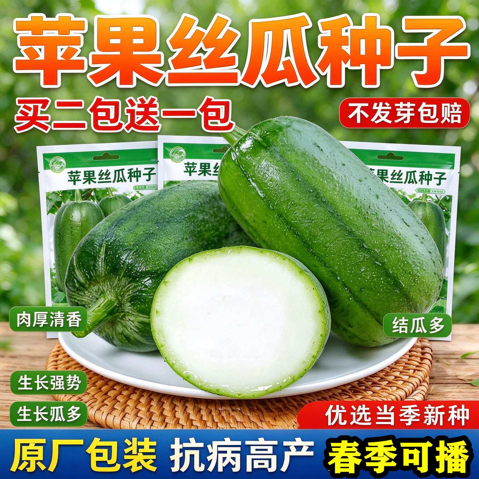 【买二送一】苹果丝瓜种子台湾丝瓜春季易种植瓜果蔬菜种子大全