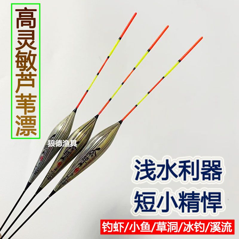 芦苇浅水鱼漂短漂鲫鱼漂