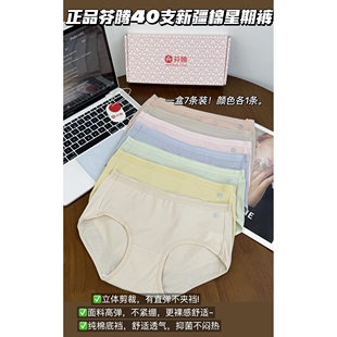 粉盒FT40支新疆棉星期内裤 纯棉底档透气抑菌不闷热高弹裸感不夹档