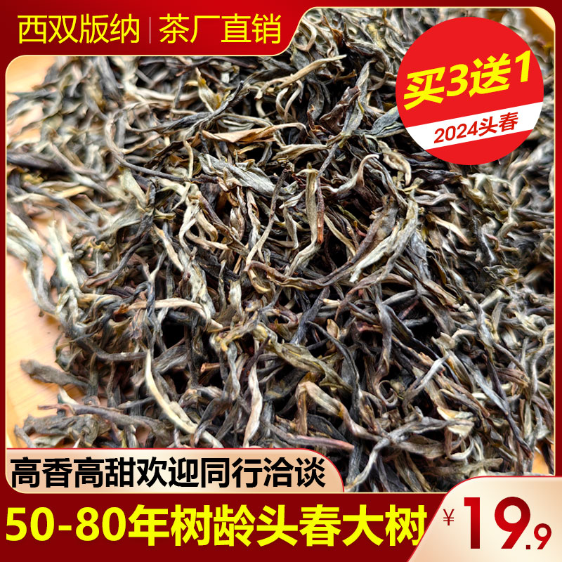 头春大树云南普洱茶生茶买3送1