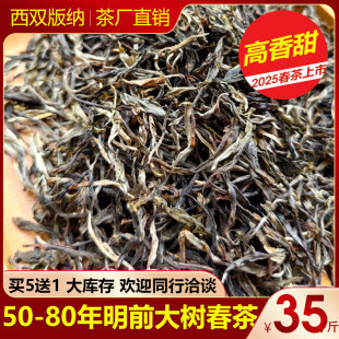 买5送1 云南2025明前头春大树茶普洱茶 生茶散茶古树纯料生普茶叶