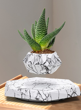 反重力磁悬浮花盆植物办公室桌面装饰轻奢盆栽黑科技家居盆景摆件