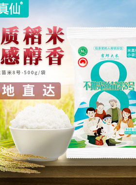 安徽特产馆米真仙不抛光丝苗米8号500g