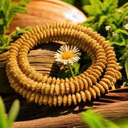 安徽九华山金叶莲花菩提籽佛珠手持飞碟念珠招财项链金钱子男女串