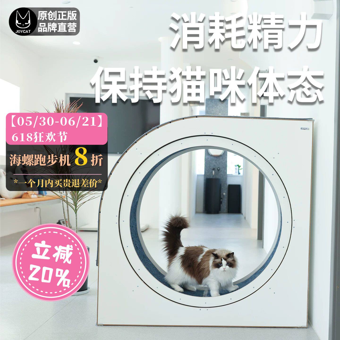 JoyCat猫咪跑步机网红实木多层板宠物滚轮安静运动跑轮猫爬架
