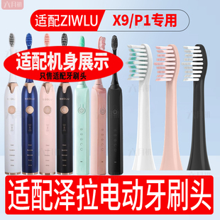 FSP2通用清洁款 SDlSP1 替换头 适配日本ziwlu泽拉电动牙刷头P1