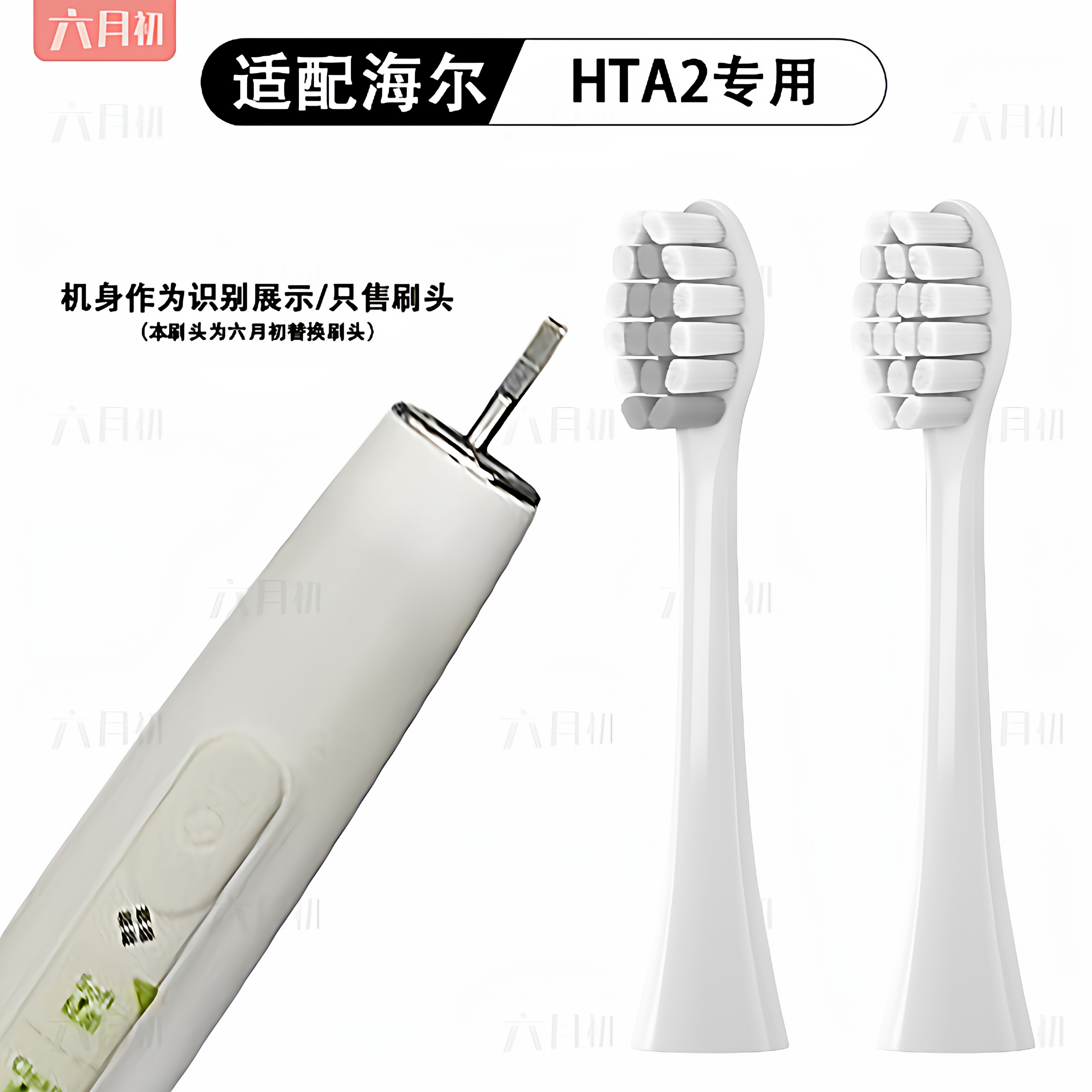 六月初适配Haier海尔电动牙刷头小摩刷HTA2-HYB/HT21/SHF/JYL替换