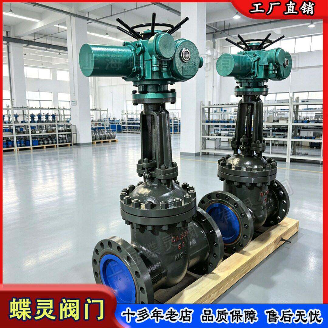 蝶灵DN50 Z941Y-16C电动闸阀 低流阻适配各类温介质