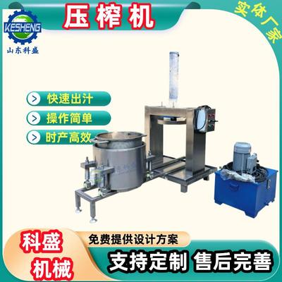 果汁压榨机 贵州刺梨鲜果榨汁机 生姜大蒜粉碎泥浆原汁压榨机