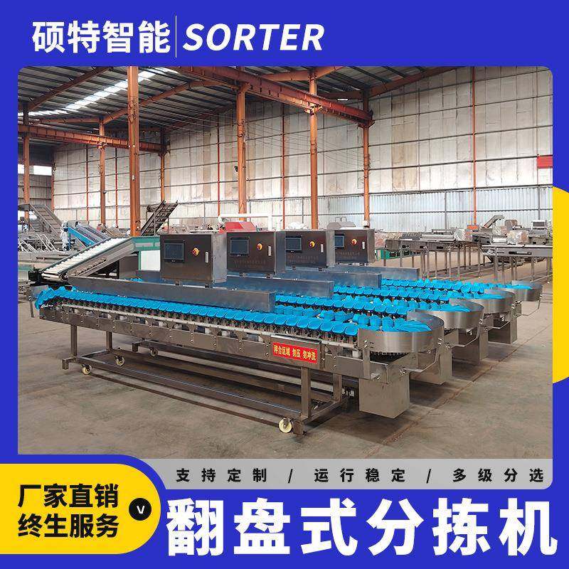 海参高精度重量分选机 人参灵芝克重检重分级机 对虾称重分拣机,清洗/食品/商业设备,肉制品加工设备,淘宝优惠券,粉丝福利购,淘宝优惠卷