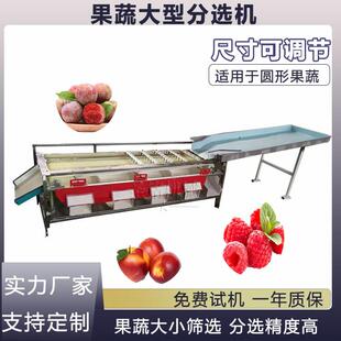 商用樱桃选果机 可调节杨梅西梅分选机 圣女果釜山88分级机