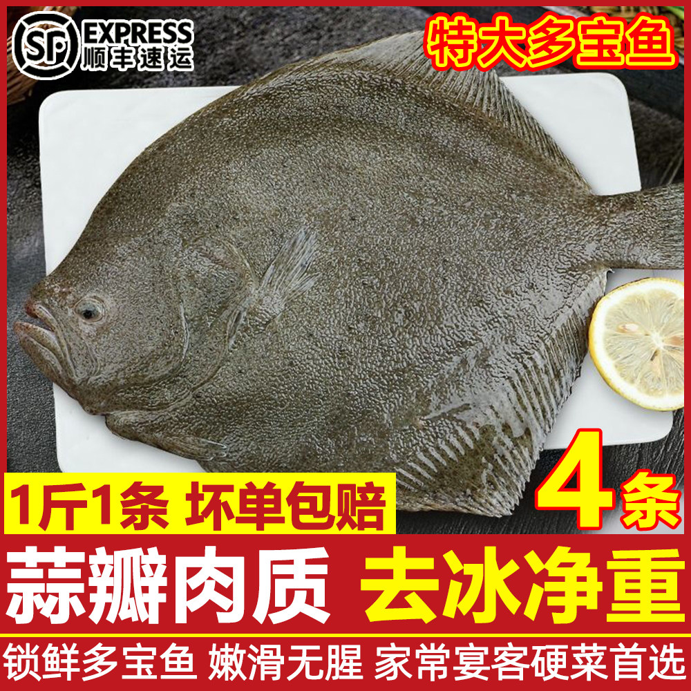 多宝鱼鲜活冷冻超大比目鱼鸦片鱼海鲜水产鲽鱼菱鲆鱼整条新鲜海鱼