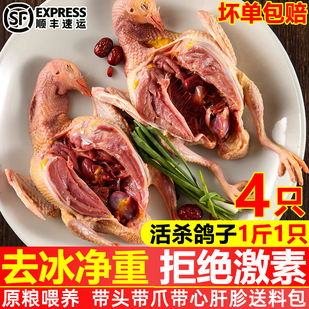鸽子新鲜现杀老鸽子土鸽乳鸽3年煲汤孕妇冷冻鸽子商用烧烤带料包