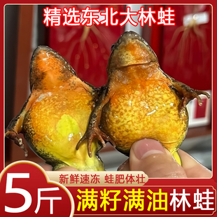 林蛙鲜活冷冻带籽母林蛙母豹子雪蛤新鲜冷冻林蛙油东北顺丰非即食