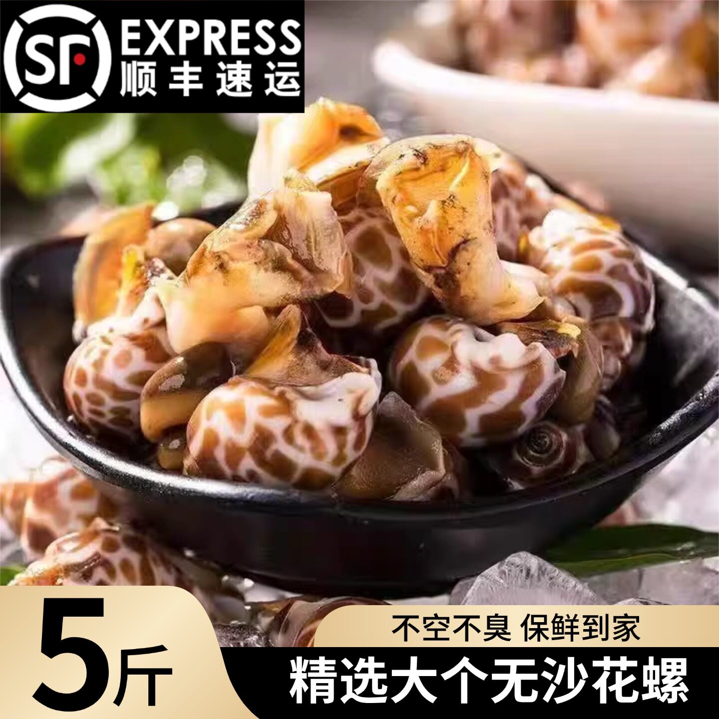 新鲜活冻花螺大海螺鲜活冷冻贝壳水产花螺冷冻香螺鲜活冷冻带料包